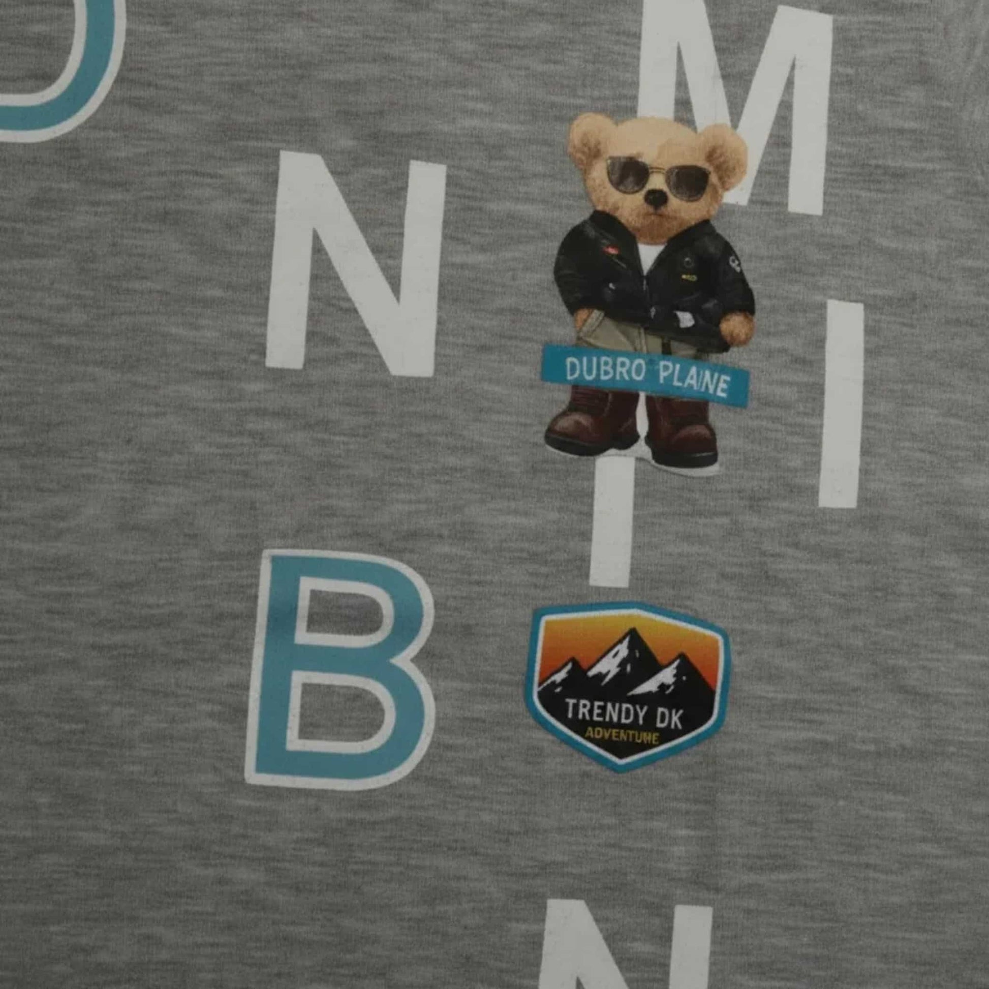 Primer plano de camiseta gris para niño con parches detallados de oso con gafas de sol "Dubro Plaine" y logo de montaña "Trendy DK Adventure